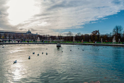 View of birds in river with city in background