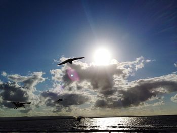 Seagulls flying over calm sea