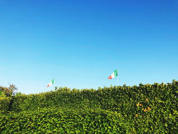 Italian flag 