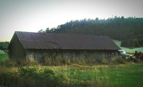 Houses on grassy field