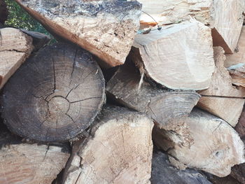 Full frame shot of logs in forest