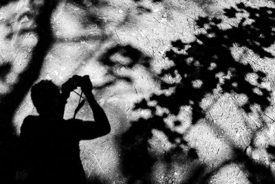 High angle view of silhouette people standing by tree in city