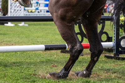 Low section of person riding horse on field