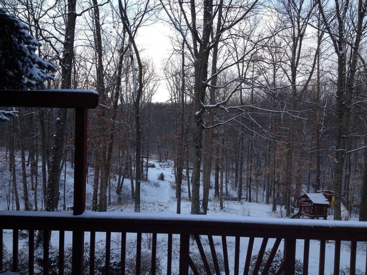 snow, winter, cold temperature, season, weather, tree, frozen, bare tree, covering, tranquil scene, nature, tranquility, beauty in nature, scenics, tree trunk, cold, forest, branch, railing, white color