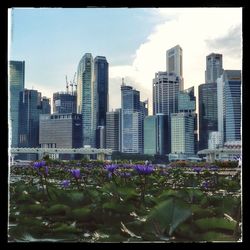 View of buildings in city