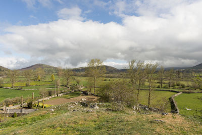 Scenic view of field against sky