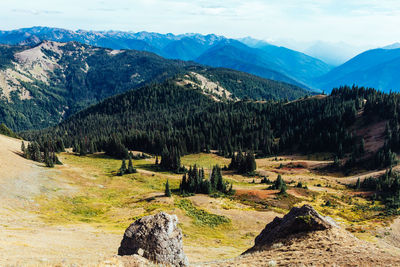 View of trees on landscape against mountain range