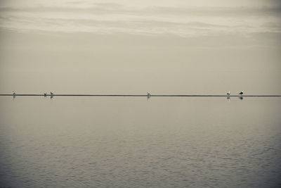 Scenic view of sea against sky at dusk