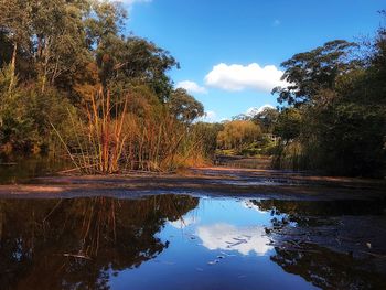 Reflection of trees in lake against sky