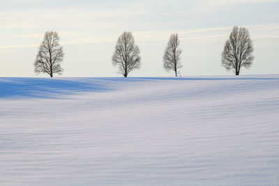 Tree on snow covered field