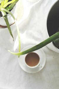 High angle view of tea in cup