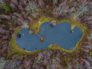 Directly above shot of lake amidst trees