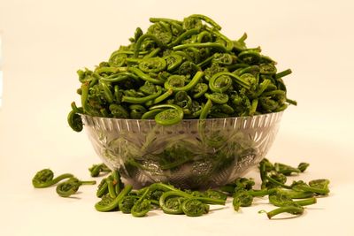 Close-up of green fruit against white background