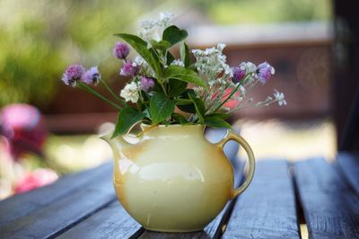 Close-up of potted plant on table