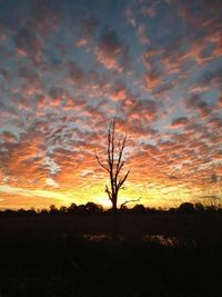 Silhouette bare tree on field against sky at sunset