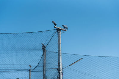 Low angle view of barbed wire against clear sky