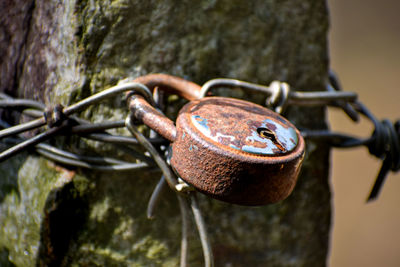 Close-up of rusty metal on rock