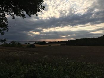 Scenic view of field against sky during sunset