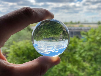 Close-up of person holding glass