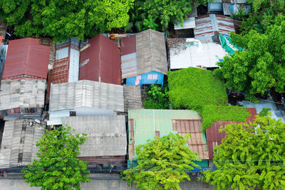 Low angle view of building by trees in city