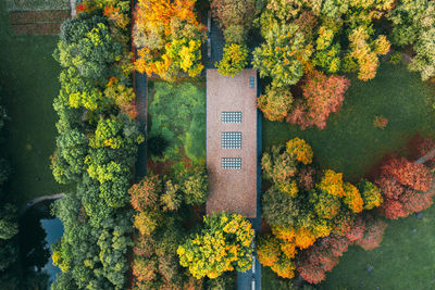 High angle view of trees