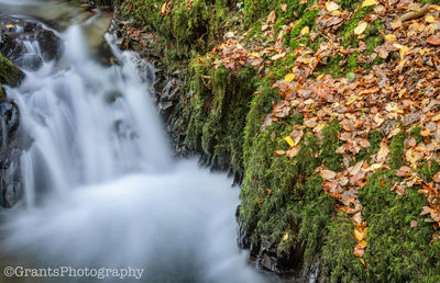 Scenic view of waterfall during autumn