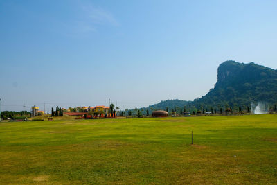 Scenic view of grassy field against clear sky