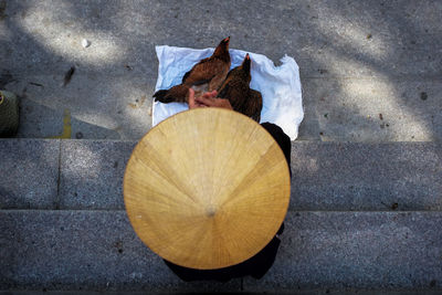 High angle view of person in hat with birds sitting on steps