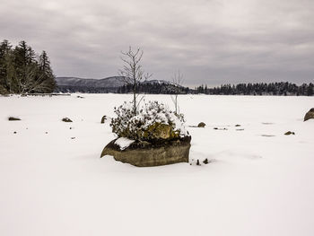 Scenic view of snow covered field against sky