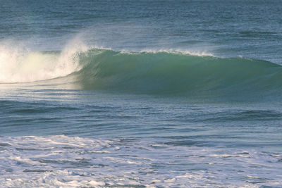sea