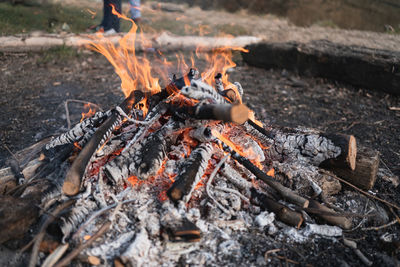 High angle view of bonfire on wooden log