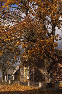 Trees by building against sky during autumn