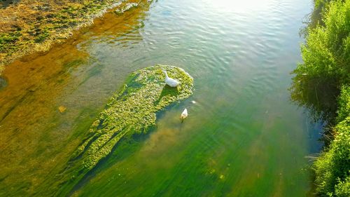 High angle view of a lake