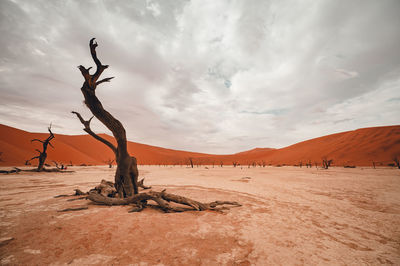 Scenic view of desert against cloudy sky