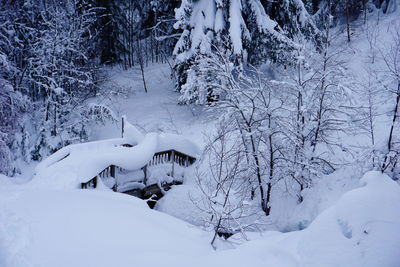 Bare trees on snow covered land