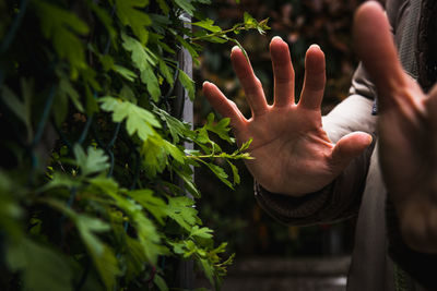 Midsection of man holding plant