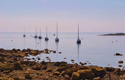 Sailboats in sea against sky during sunset