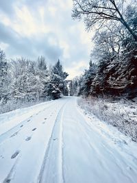 Road amidst bare trees against sky