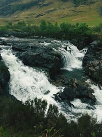 River flowing through forest