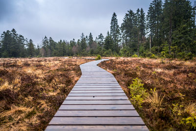 Walkway amidst trees in forest against sky