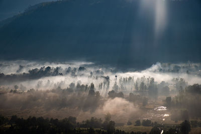 Panoramic view of trees on landscape against sky