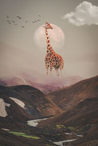 Digital composite image of birds flying over landscape against sky