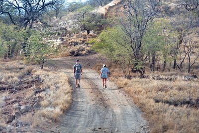 Rear view of people walking on plants