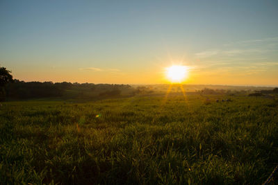 Scenic view of field against sky during sunset