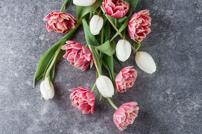 High angle view of pink roses