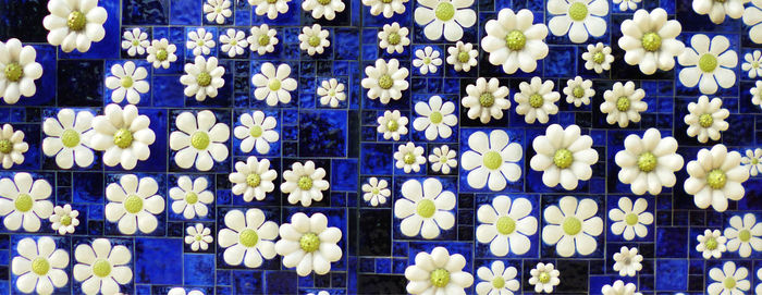 Full frame shot of white flowering plants