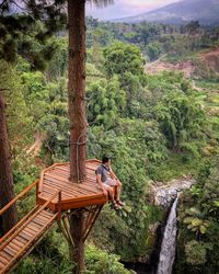 Man climbing on tree in forest