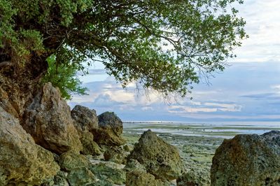 Scenic view of sea against cloudy sky