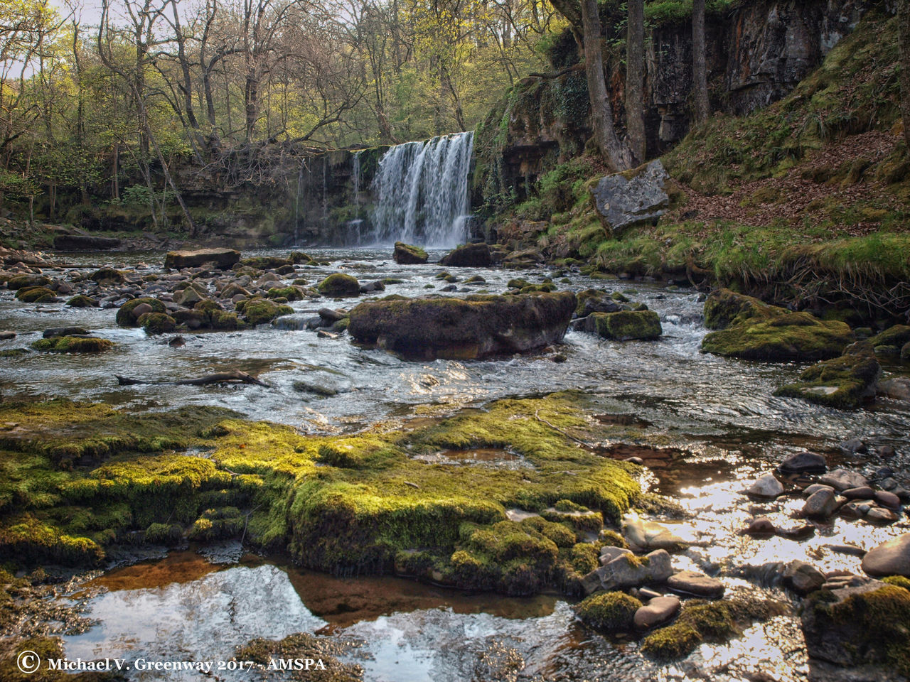 SCENIC VIEW OF RIVER FLOWING IN FOREST