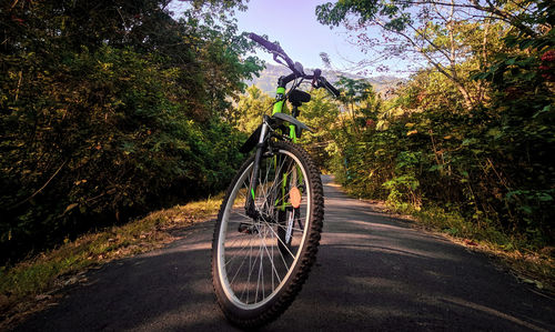 Bicycle on road against trees in city